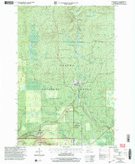 Thomaston Michigan Historical topographic map, 1:24000 scale, 7.5 X 7.5 Minute, Year 1999