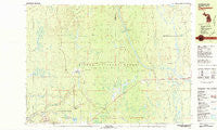 Thomaston Michigan Historical topographic map, 1:25000 scale, 7.5 X 15 Minute, Year 1981