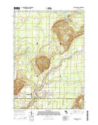 Thompsonville Michigan Historical topographic map, 1:24000 scale, 7.5 X 7.5 Minute, Year 2014