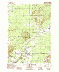 Thompsonville Michigan Historical topographic map, 1:25000 scale, 7.5 X 7.5 Minute, Year 1983