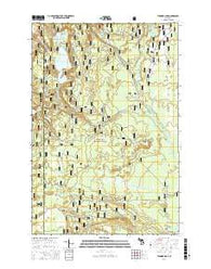 Thunder Lake Michigan Current topographic map, 1:24000 scale, 7.5 X 7.5 Minute, Year 2017