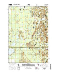 Tie Lake Michigan Current topographic map, 1:24000 scale, 7.5 X 7.5 Minute, Year 2017