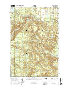 Timberlost Michigan Current topographic map, 1:24000 scale, 7.5 X 7.5 Minute, Year 2017