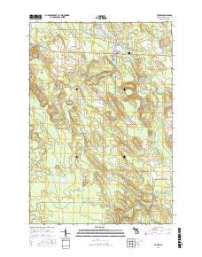 Tower Michigan Current topographic map, 1:24000 scale, 7.5 X 7.5 Minute, Year 2017