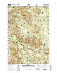 Townsend Lake Michigan Current topographic map, 1:24000 scale, 7.5 X 7.5 Minute, Year 2017