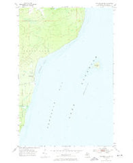 Traverse Island Michigan Historical topographic map, 1:24000 scale, 7.5 X 7.5 Minute, Year 1954