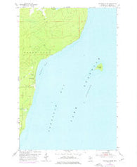 Traverse Island Michigan Historical topographic map, 1:24000 scale, 7.5 X 7.5 Minute, Year 1954