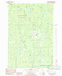 Triangle Ranch Michigan Historical topographic map, 1:24000 scale, 7.5 X 7.5 Minute, Year 1985