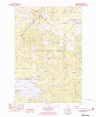 Trout Creek Michigan Historical topographic map, 1:25000 scale, 7.5 X 7.5 Minute, Year 1982
