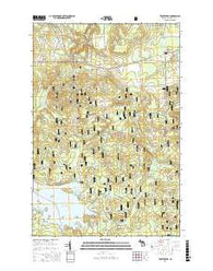 Trout Creek Michigan Current topographic map, 1:24000 scale, 7.5 X 7.5 Minute, Year 2017