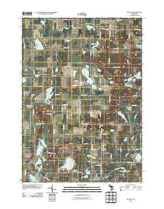 Trufant Michigan Historical topographic map, 1:24000 scale, 7.5 X 7.5 Minute, Year 2011