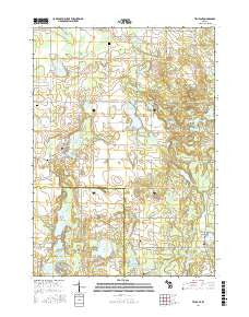 Trufant Michigan Current topographic map, 1:24000 scale, 7.5 X 7.5 Minute, Year 2017