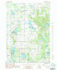Trufant Michigan Historical topographic map, 1:24000 scale, 7.5 X 7.5 Minute, Year 1985