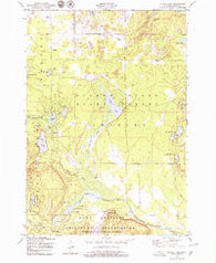 Turtle Lake Michigan Historical topographic map, 1:24000 scale, 7.5 X 7.5 Minute, Year 1950
