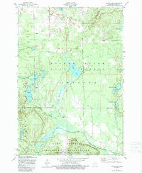Turtle Lake Michigan Historical topographic map, 1:24000 scale, 7.5 X 7.5 Minute, Year 1950