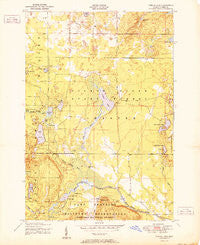 Turtle Lake Michigan Historical topographic map, 1:24000 scale, 7.5 X 7.5 Minute, Year 1951