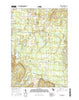 Turtle Lake Michigan Current topographic map, 1:24000 scale, 7.5 X 7.5 Minute, Year 2017