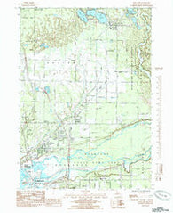 Twin Lake Michigan Historical topographic map, 1:24000 scale, 7.5 X 7.5 Minute, Year 1985