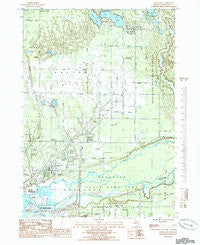 Twin Lake Michigan Historical topographic map, 1:24000 scale, 7.5 X 7.5 Minute, Year 1985