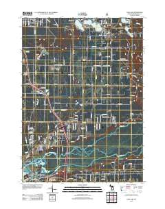 Twin Lake Michigan Historical topographic map, 1:24000 scale, 7.5 X 7.5 Minute, Year 2012
