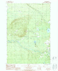 Udell Michigan Historical topographic map, 1:24000 scale, 7.5 X 7.5 Minute, Year 1987