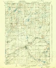 Union City Michigan Historical topographic map, 1:62500 scale, 15 X 15 Minute, Year 1918