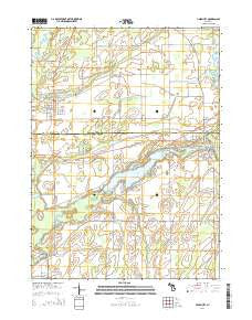 Union City Michigan Historical topographic map, 1:24000 scale, 7.5 X 7.5 Minute, Year 2014