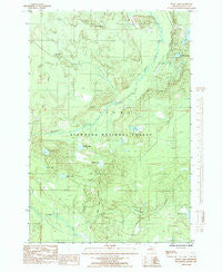 Waco Lake Michigan Historical topographic map, 1:24000 scale, 7.5 X 7.5 Minute, Year 1985