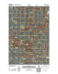 Waco Lake Michigan Historical topographic map, 1:24000 scale, 7.5 X 7.5 Minute, Year 2011