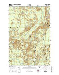 Waco Lake Michigan Historical topographic map, 1:24000 scale, 7.5 X 7.5 Minute, Year 2014
