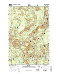 Waco Lake Michigan Current topographic map, 1:24000 scale, 7.5 X 7.5 Minute, Year 2017