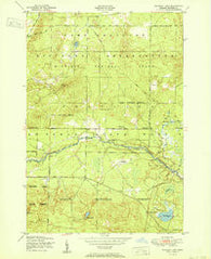 Wakeley Lake Michigan Historical topographic map, 1:24000 scale, 7.5 X 7.5 Minute, Year 1951