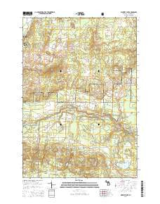 Wakeley Lake Michigan Historical topographic map, 1:24000 scale, 7.5 X 7.5 Minute, Year 2014