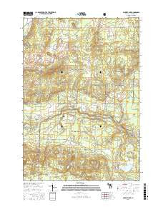 Wakeley Lake Michigan Current topographic map, 1:24000 scale, 7.5 X 7.5 Minute, Year 2017