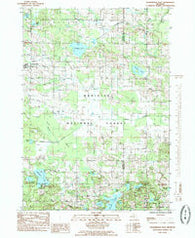 Walkerville East Michigan Historical topographic map, 1:24000 scale, 7.5 X 7.5 Minute, Year 1985