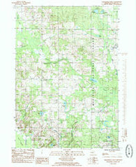 Walkerville West Michigan Historical topographic map, 1:24000 scale, 7.5 X 7.5 Minute, Year 1985