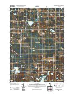 Walkerville East Michigan Historical topographic map, 1:24000 scale, 7.5 X 7.5 Minute, Year 2012