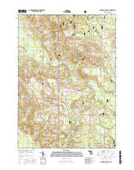 Walkerville West Michigan Current topographic map, 1:24000 scale, 7.5 X 7.5 Minute, Year 2017