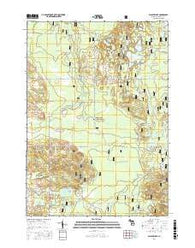 Walkup Lake Michigan Current topographic map, 1:24000 scale, 7.5 X 7.5 Minute, Year 2017