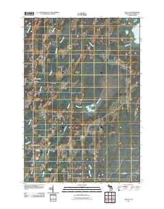 Wallace Michigan Historical topographic map, 1:24000 scale, 7.5 X 7.5 Minute, Year 2011