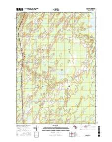 Wallace Michigan Current topographic map, 1:24000 scale, 7.5 X 7.5 Minute, Year 2016