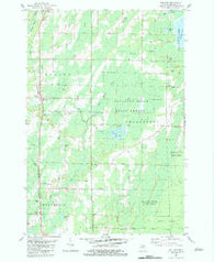 Wallace Michigan Historical topographic map, 1:24000 scale, 7.5 X 7.5 Minute, Year 1982