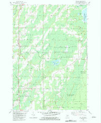 Wallace Michigan Historical topographic map, 1:24000 scale, 7.5 X 7.5 Minute, Year 1982