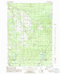 Walton Michigan Historical topographic map, 1:24000 scale, 7.5 X 7.5 Minute, Year 1985