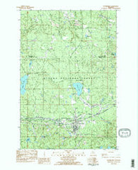 Watersmeet Michigan Historical topographic map, 1:25000 scale, 7.5 X 7.5 Minute, Year 1982