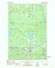 Watersmeet Michigan Historical topographic map, 1:25000 scale, 7.5 X 7.5 Minute, Year 1982