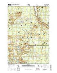Wellston Michigan Historical topographic map, 1:24000 scale, 7.5 X 7.5 Minute, Year 2014