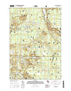 Wellston Michigan Current topographic map, 1:24000 scale, 7.5 X 7.5 Minute, Year 2016