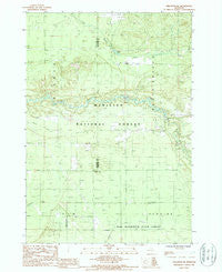 Wellston NE Michigan Historical topographic map, 1:24000 scale, 7.5 X 7.5 Minute, Year 1987