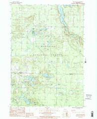 Wellston Michigan Historical topographic map, 1:24000 scale, 7.5 X 7.5 Minute, Year 1987